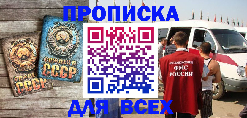 временная регистрация собственник в Камчатской области
